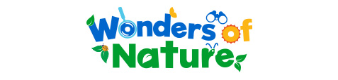 Wonders of Nature